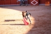 Foto 2 - El futuro de la Escuela Taurina de Salamanca pide paso