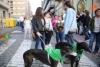Foto 2 - Un paseo cívico para promover la adopción de perros abandonados