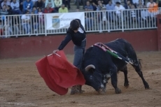 Foto 5 - Iván González, vencedor del certamen de Escuelas de Tauromaquia en clases prácticas