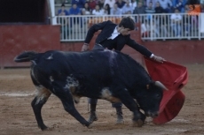 Foto 3 - Iván González, vencedor del certamen de Escuelas de Tauromaquia en clases prácticas