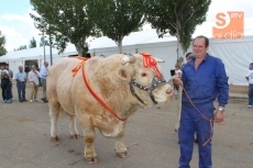 Foto 6 - Los ganaderos salmantinos reciben seis de los ocho grandes premios del concurso nacional de...