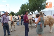 Foto 3 - Los ganaderos salmantinos reciben seis de los ocho grandes premios del concurso nacional de...