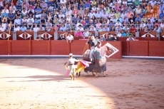 Foto 4 - El futuro de la Escuela Taurina de Salamanca pide paso