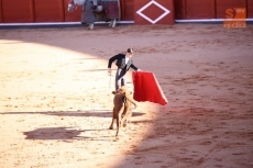 Foto 3 - El futuro de la Escuela Taurina de Salamanca pide paso