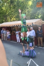 Foto 3 - Mañueco, satisfecho con las fiestas durante la visita a un Mercado Medieval con 180 puestos 