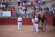 Foto 5 - Divertida tarde con la clase práctica de los alumnos de la Escuela de Tauromaquia