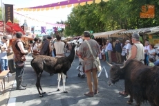 Ma&ntilde;ueco, satisfecho con las fiestas durante la visita a un Mercado Medieval con 180 puestos 