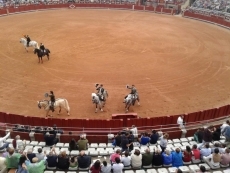 Adiós a una intensa feria taurina desde el palco 21