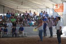 'Borb&oacute;n' y 'Colmena', campe&oacute;n y campeona del concurso de la raza limusina