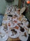 Foto 2 - Exposición de setas y hongos en la sede del Club de Pescadores
