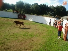 Foto 4 - Las vaquillas y la comida popular centran las actividades en una jornada de confraternidad