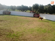 Foto 3 - Las vaquillas y la comida popular centran las actividades en una jornada de confraternidad