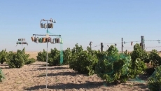 Foto 4 - Un 'ingenio mecánico' para atemorizar a las aves en Alaraz