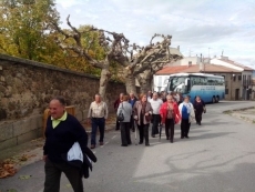 Foto 6 - Vecinos de la comarca realizan una excursión a Piedrahíta