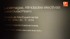 Foto 6 - Luciérnagas para hablar de la oscuridad y la luz en una exposición de Ciudad Pizarro