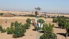Un 'ingenio mec&aacute;nico' para atemorizar a las aves en Alaraz