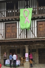 Un gran lazo rosa en la Plaza Mayor albercana contra el c&aacute;ncer de mama