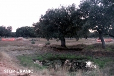 Foto 3 - Stop Uranio denuncia a la minera Berkeley por “mala praxis” en los sondeos de exploración en...