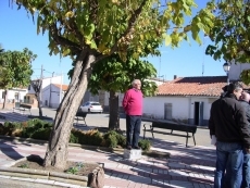 Foto 3 - Televisión Española graba un reportaje de la ‘casita’ de Sor Eusebia para ‘El día del...