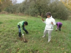 Foto 5 - Los voluntarios medioambientales repueblan la Isla del Soto con nuevas especies