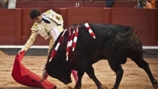 Juan del &Aacute;lamo, premio a la Mejor Faena de la Feria Taurina de Salamanca 2014