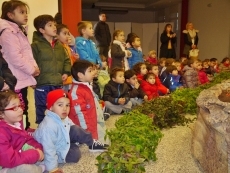 Foto 4 - Visita de los escolares a la Exposición Verde Navidad