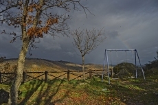 Miradas desde la Luz