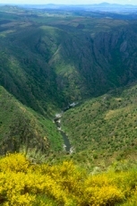 El río Huebra, campero y arribeño