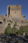 Foto 2 - Castillo de Puente del Congosto: Guardián de la Cañada Real Soriana Occidental