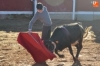 Foto 2 - Los novilleros del Bolsín ofrecen mejores sensaciones con muy buenas vacas de Barcial