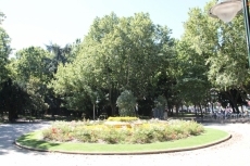 Foto 3 - El parque de la Alamedilla ofrecerá una imagen renovada y modernizada 