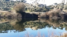 Foto 4 - Pasear al ritmo de la estación invernal junto a la ribera del río 