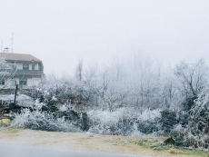 Foto 5 - La provincia de Salamanca amanece cubierta de cencellada