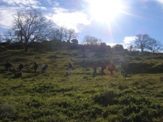 Foto 6 - El CD de Montaña y Senderismo El Teso realiza su primera ruta del año en el Valle del Jerte