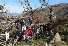 Foto 4 - El CD de Montaña y Senderismo El Teso realiza su primera ruta del año en el Valle del Jerte