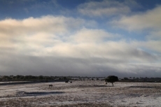 Foto 5 - La primera nevada de Salamanca