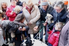 Foto 6 - Los perros, protagonistas de la festividad de San Antón 