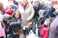 Foto 5 - Los perros, protagonistas de la festividad de San Antón 
