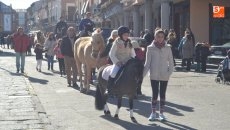 Foto 3 - Mascotas y dueños celebran la recuperada tradición de San Antón