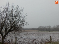 Foto 3 - La nieve se asoma con timidez en la comarca a primera hora de la mañana