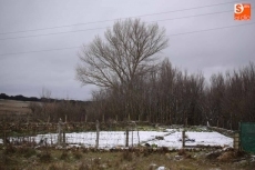 Foto 6 - La alerta por nieve se mantiene durante las dos próximas jornadas