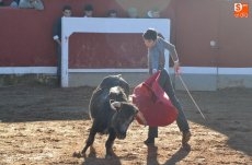 Foto 5 - Los novilleros del Bolsín ofrecen mejores sensaciones con muy buenas vacas de Barcial