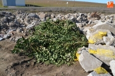 Foto 6 - Creado un nuevo vertedero de escombros en la subida a los Campos de Toñete