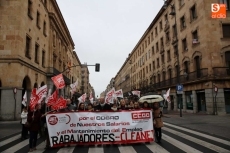Foto 6 - Protesta de los trabajadores de Cleanet por el retraso de cinco meses en el pago de las nóminas