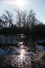 Pasear al ritmo de la estaci&oacute;n invernal junto a la ribera del r&iacute;o 