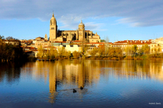 Mi amada Salamanca