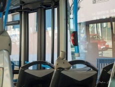 ¿Se cumple en este autobús la Ley de Seguridad Vial?