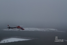 Foto 6 - La nieve obliga a suministrar alimento al ganado en helicóptero