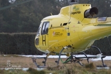 Foto 5 - La nieve obliga a suministrar alimento al ganado en helicóptero