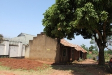 Foto 4 - Buscan fondos para poner en marcha una escuela en Entebbe, Uganda